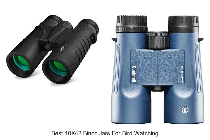 best 10x42 binoculars for bird watching