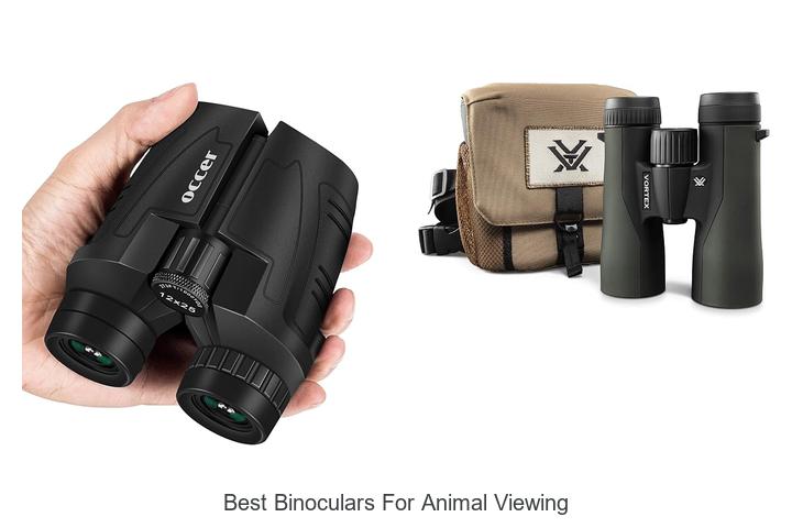 best binoculars for animal viewing