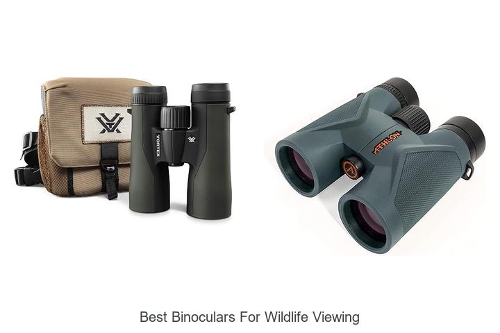 best binoculars for wildlife viewing
