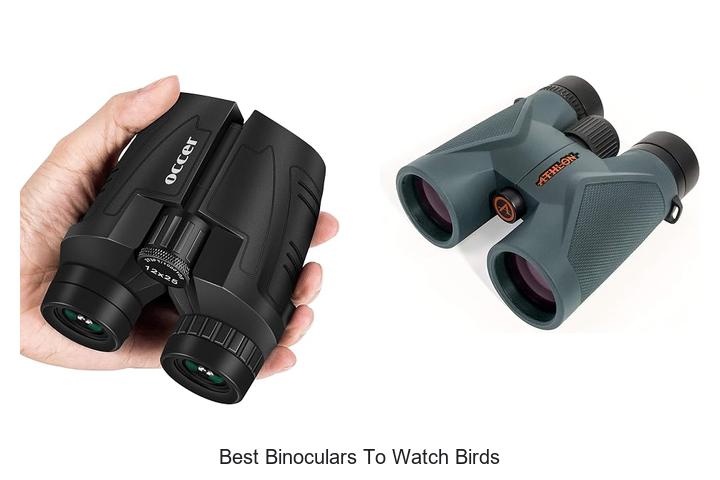 best binoculars to watch birds