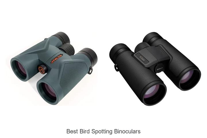 best bird spotting binoculars