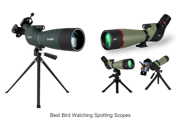 best bird watching spotting scopes