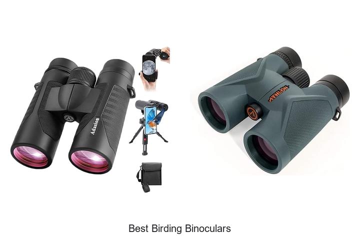best birding binoculars