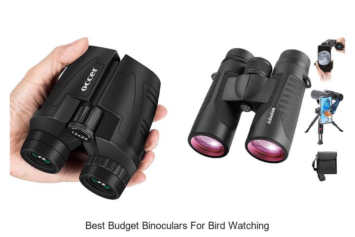 best budget binoculars for bird watching