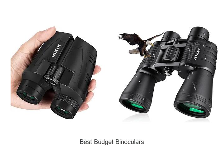 best budget binoculars