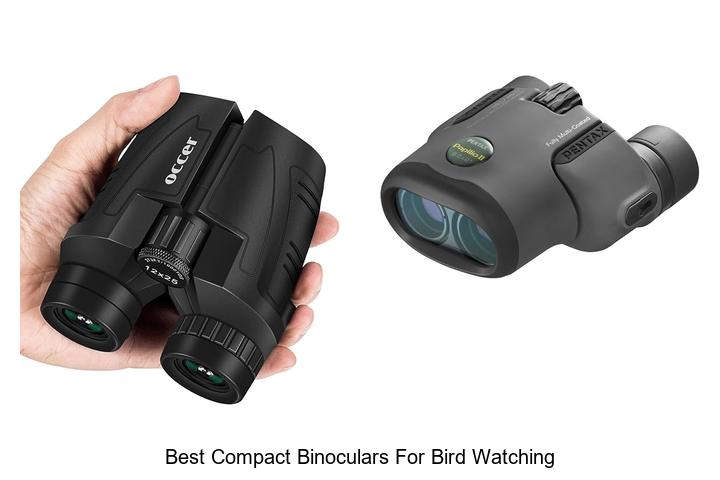 best compact binoculars for bird watching