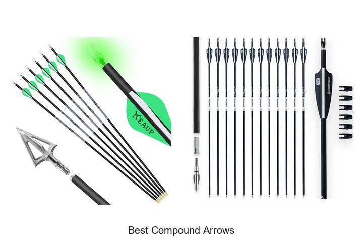 best compound arrows