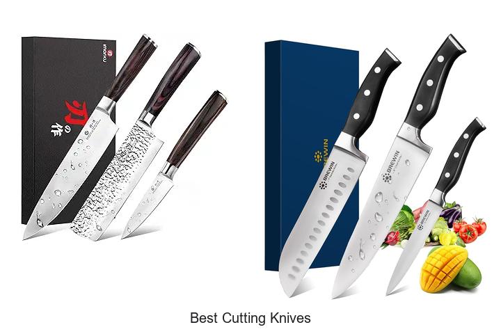 best cutting knives