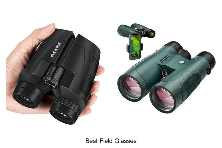 best field glasses