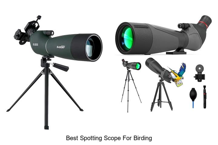 best spotting scope for birding